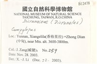 登錄號:B00012478藏品圖，第2張