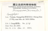 登錄號:B00012480藏品圖，第2張