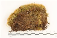 登錄號:B00012480藏品圖，第1張