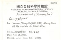 登錄號:B00012481藏品圖，第2張