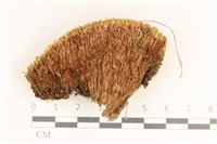 登錄號:B00012481藏品圖，第1張