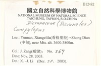 登錄號:B00012482藏品圖，第2張