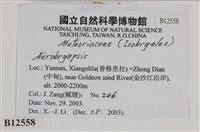 登錄號:B00012558藏品圖，第2張