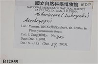 登錄號:B00012559藏品圖，第2張