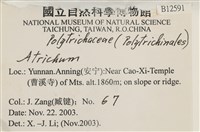 登錄號:B00012591藏品圖，第2張
