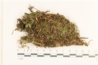 登錄號:B00012591藏品圖，第1張
