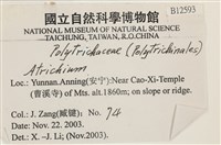 登錄號:B00012593藏品圖，第2張