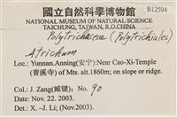 登錄號:B00012594藏品圖，第2張