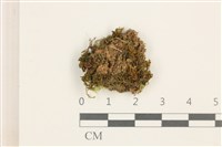 登錄號:B00012594藏品圖，第1張