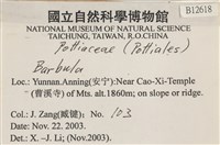 登錄號:B00012618藏品圖，第2張