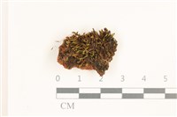 登錄號:B00012618藏品圖，第1張