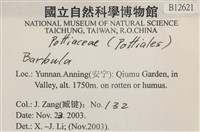 登錄號:B00012621藏品圖，第2張