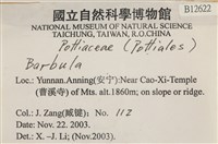 登錄號:B00012622藏品圖，第2張