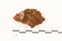 登錄號:B00012622藏品圖，第1張