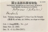登錄號:B00012686藏品圖，第2張