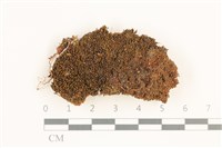 登錄號:B00012686藏品圖，第1張