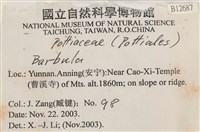 登錄號:B00012687藏品圖，第2張