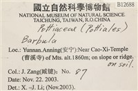 登錄號:B00012688藏品圖，第2張