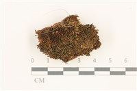 登錄號:B00012689藏品圖，第1張