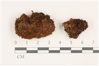 登錄號:B00012691藏品圖，第1張