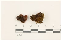 登錄號:B00012692藏品圖，第1張