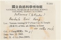 登錄號:B00012693藏品圖，第2張