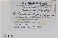 山羽蘚藏品圖，第2張