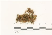 登錄號:B00012724藏品圖，第1張