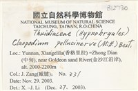 登錄號:B00012730藏品圖，第2張