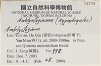 登錄號:B00012768藏品圖，第2張