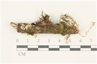 登錄號:B00012768藏品圖，第1張