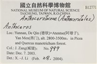 登錄號:B00012771藏品圖，第2張