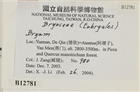 登錄號:B00012781藏品圖，第2張