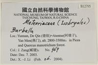 登錄號:B00012795藏品圖，第2張