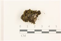 登錄號:B00012800藏品圖，第1張