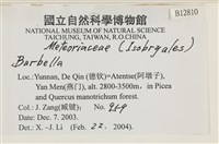 登錄號:B00012810藏品圖，第2張