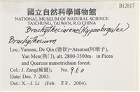登錄號:B00012817藏品圖，第2張
