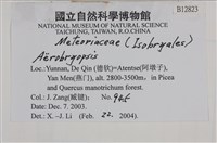 登錄號:B00012823藏品圖，第2張
