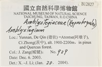 登錄號:B00012827藏品圖，第2張