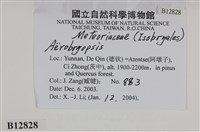 登錄號:B00012828藏品圖，第2張