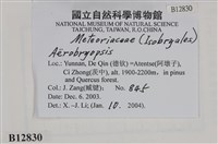 登錄號:B00012830藏品圖，第2張