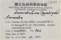 登錄號:B00012831藏品圖，第2張