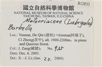 登錄號:B00012833藏品圖，第2張