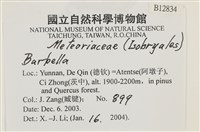 登錄號:B00012834藏品圖，第2張