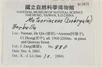 登錄號:B00012835藏品圖，第1張