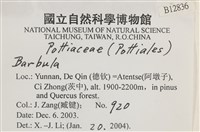 登錄號:B00012836藏品圖，第2張
