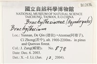 登錄號:B00012838藏品圖，第2張