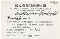 登錄號:B00012839藏品圖，第2張