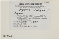 登錄號:B00012840藏品圖，第2張