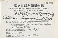 草黃濕原蘚藏品圖，第2張